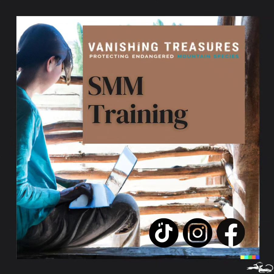 Within the Vanishing Treasures project, we are conducting a Social Media Marketing (SMM) training course for a group of beneficiaries
