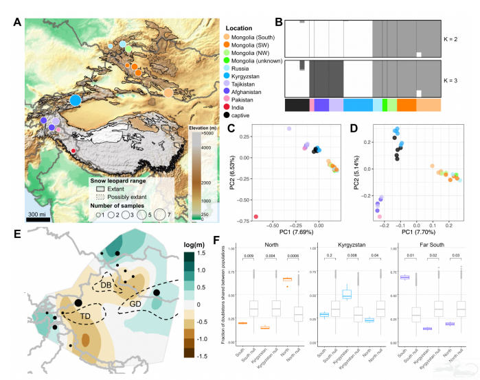 Extreme in Every Way: Exceedingly Low Genetic Diversity in Snow Leopards Due to  Persistently Small Population Size