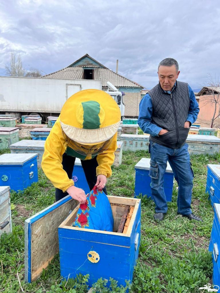 A training session for local beekeepers took place from March 29th to March 31st, 2024, in the Bel-Aldy village district, Toktogul! 🌱 We are delighted to share the outcomes of this wonderful event with you