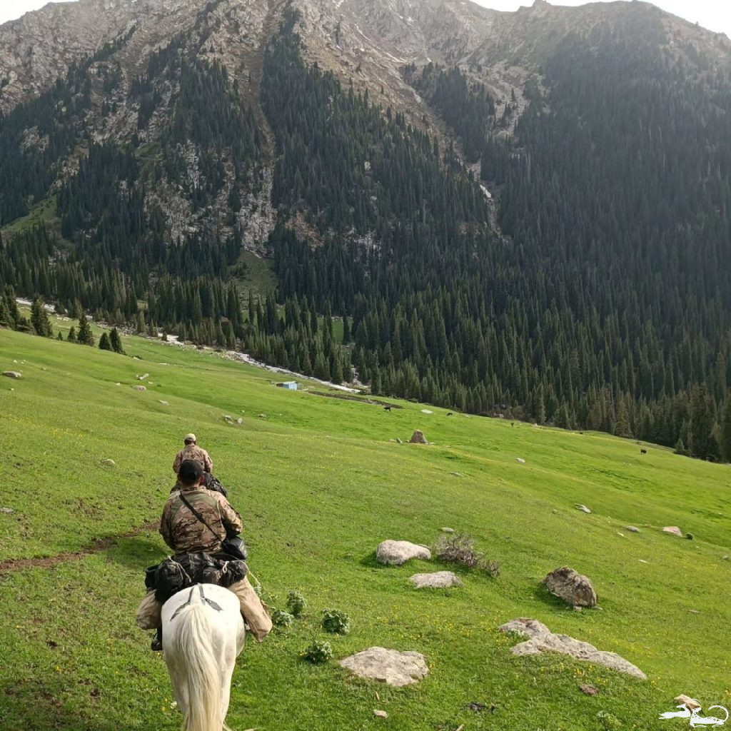 С Международным днём гор🏔❕