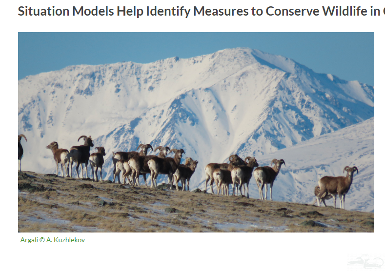 The article by Paige Hellbaum Eikeland, “Open Standards Methodology as a Tool for Wildlife Conservation in Central Asia,” published on the Central Asian Mammals Initiative (CAMI) website.