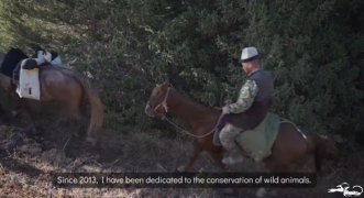 We are pleased to share a video about the activities of the Shumkar-Tor community-based conservation: true patriots who have transitioned from local hunters to passionate defenders of nature.