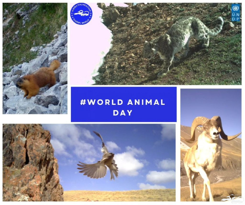 4 октября празднуется Всемирный день животных #WorldAnimalDay❗️