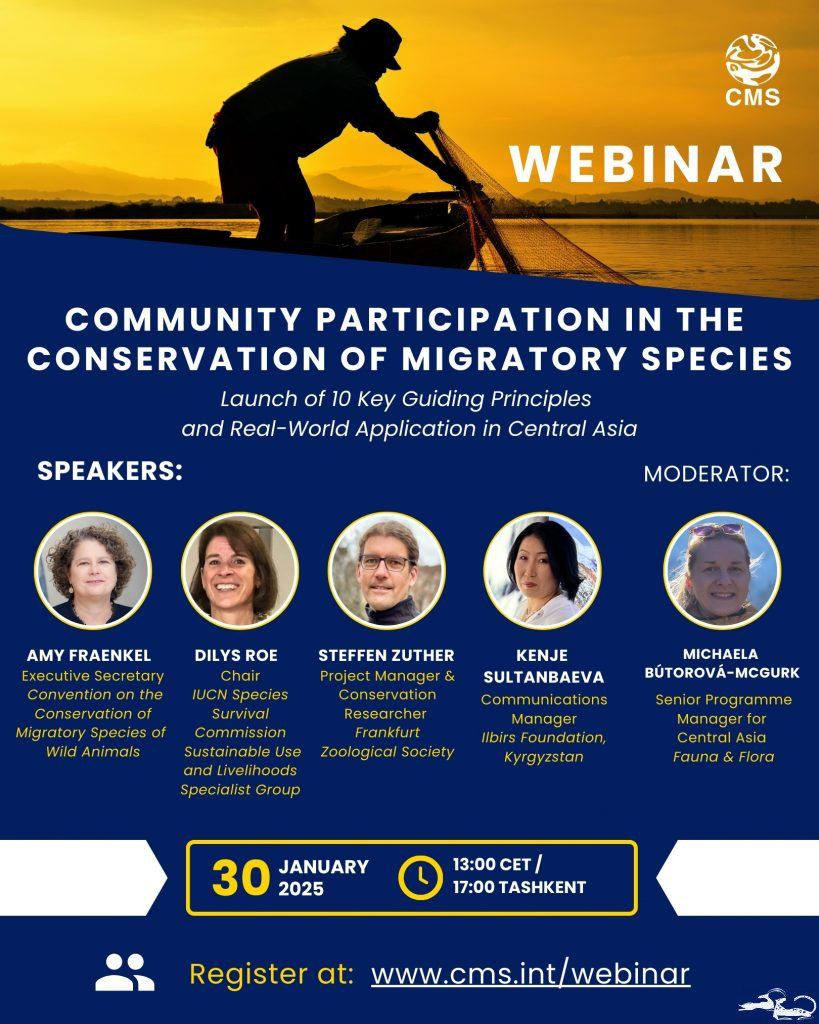 On January 30, 2025, the Ilbirs Foundation participated in the webinar “Community Participation in the Conservation of Migratory Species” organized by @cms.migratory.species