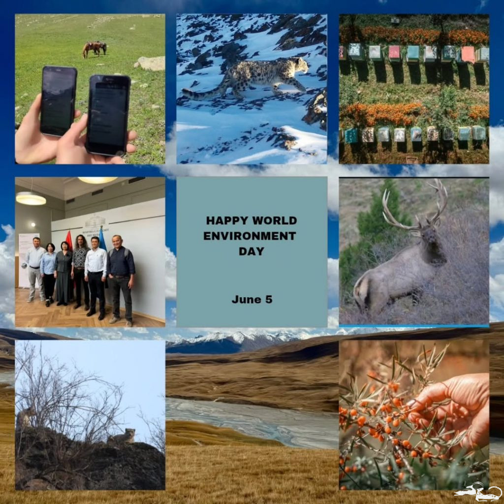 Со Всемирным днём окружающей среды🌎🌱 Со Всемирным днём окружающей среды🌎🌱