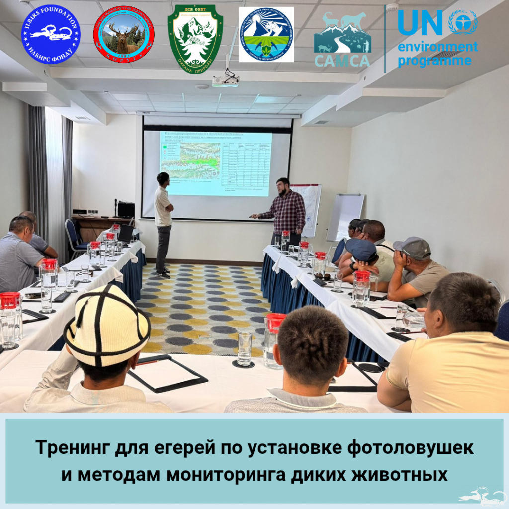 С 28 по 29 июля 2025 года сотрудники ОФ «Фонд Илбирс» совместно с представителями Департамента сохранения биоразнообразия и ООПТ провели практический тренинг для егерей ГПЗ «Нарын».