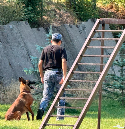 The Ilbirs Foundation continues its mission to conserve wildlife and is pleased to share the results of its collaboration with the State Customs Service of the Kyrgyz Republic.