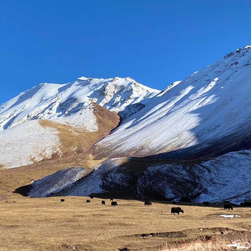 The CCHALKK research project is gaining momentum! 🌿🔬