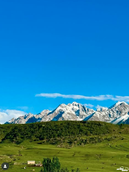 November 3 — World One Health Day! 🌍