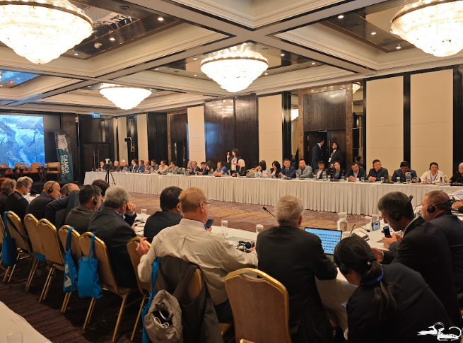 Завершающая конференция проекта АМИК в ЦА🦌🐾