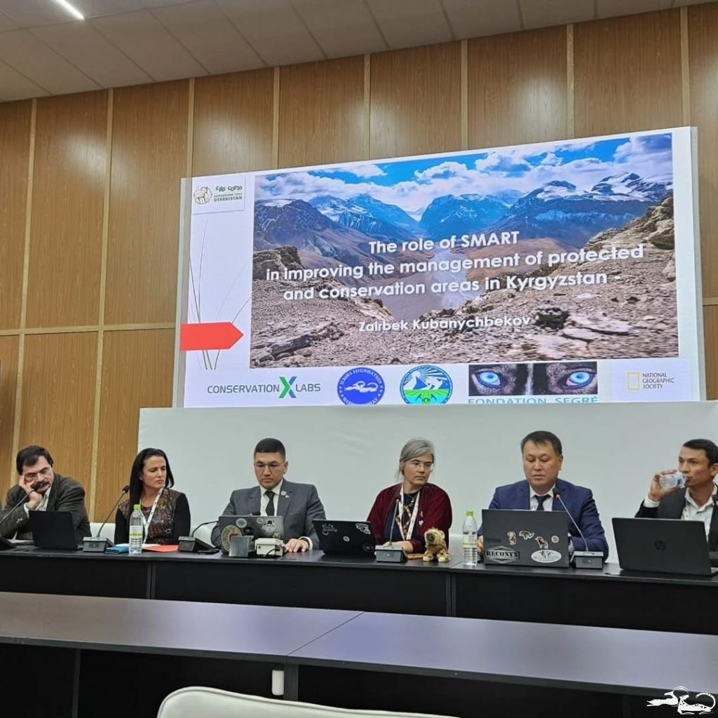 Representatives of the Ilbirs Foundation participated in the 20th Conference of the Parties to the Convention on International Trade in Endangered Species of Wild Fauna and Flora (CITES) — COP20, held in Samarkand, Uzbekistan🇺🇿.