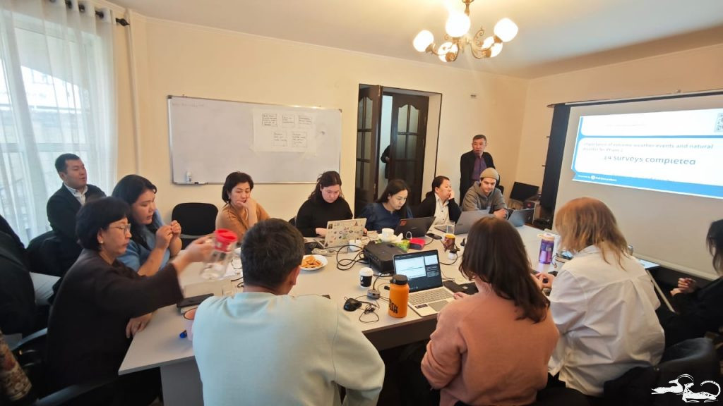 ⛰️Поле+Офис=Результат