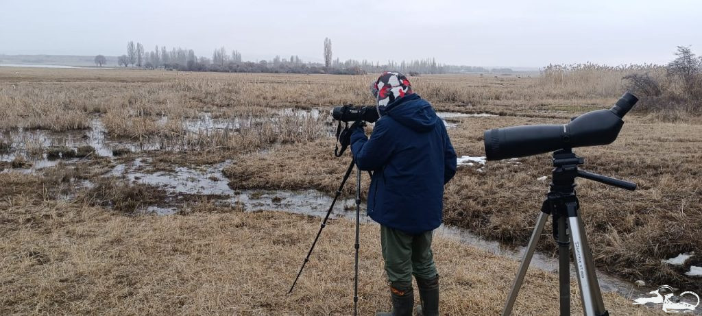📆From 19 to 22 February 2026, as part of the project ‘One Health in Nature Conservation – Improving Landscape Resilience to Zoonotic Diseases through the Consolidation of Nature Conservation Systems in Central Asia’, which is being implemented in the countries of the region with the support of IKI and IUCN, Ilbirs Foundation organised a trip to the Issyk-Kul region to conduct a census of waterbirds 🦢🦆 along the eastern shore of Lake Issyk-Kul.