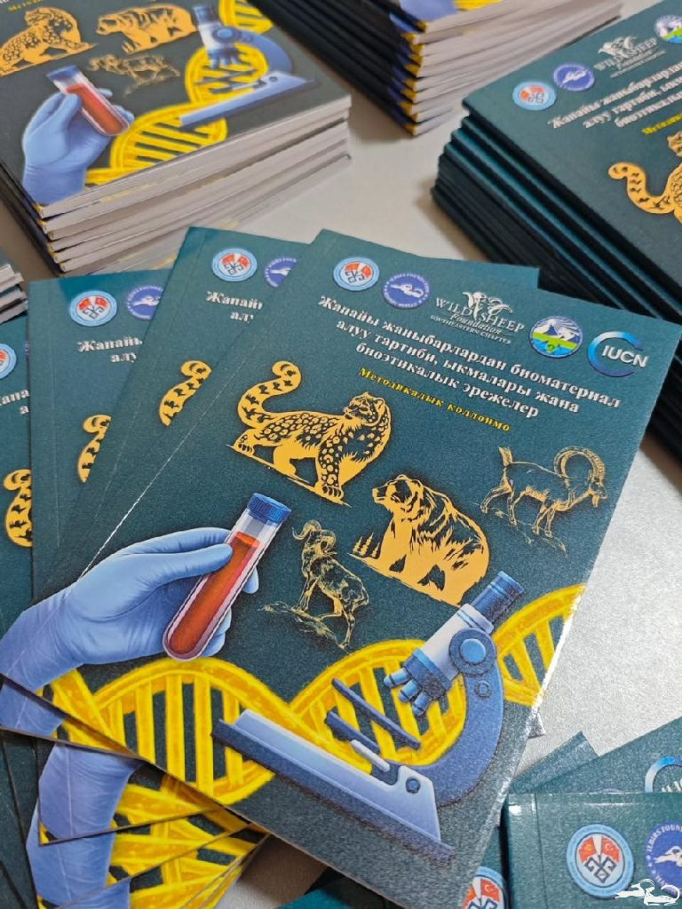 ❗️Друзья, у нас отличные новости❗️  Совместными усилиями с кандидатом ветеринарных наук, профессором КТУ «Манас» Алдаяровым Н., заместителем министра Министерства природных ресурсов, экологии и технического надзора Кыргызской Республики Мусаевым А., а также сотрудниками «Фонда Илбирс»: Кубанычбековым З. и Сейдахматовой А. было разработано и издано методическое пособие по отбору биоматериала, методов и биоэтических норм у диких животных🐐🐾.