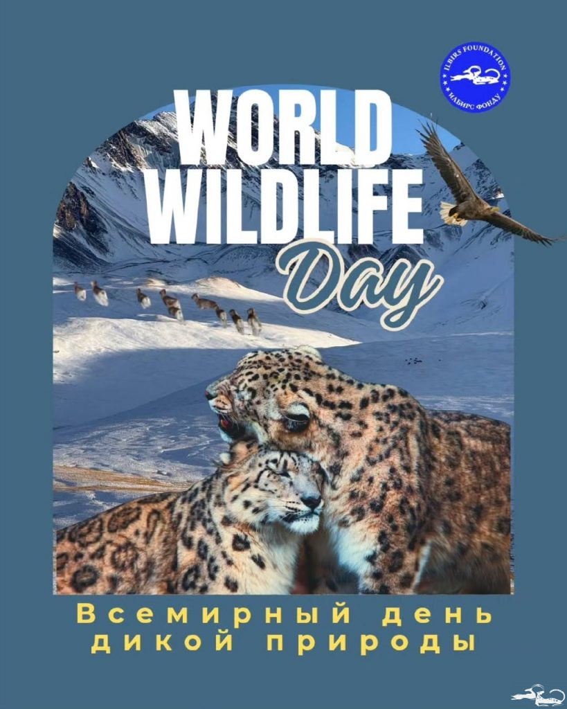 Со Всемирным днём дикой природы 🌏🐾