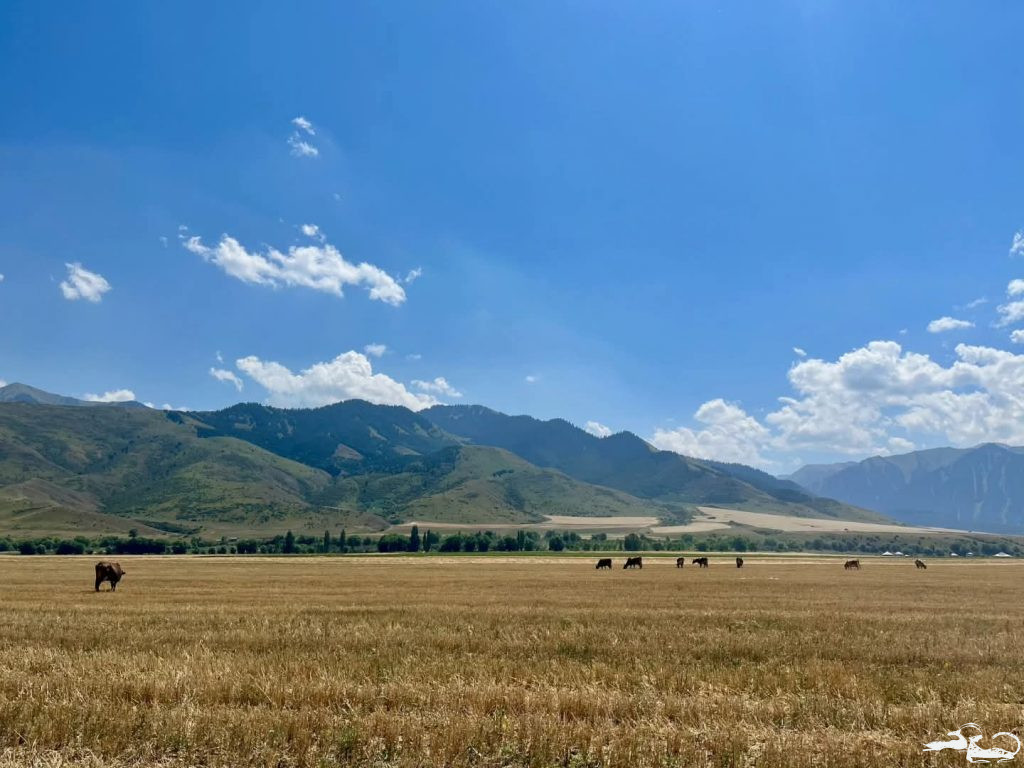 📕A story from a researcher’s field diary