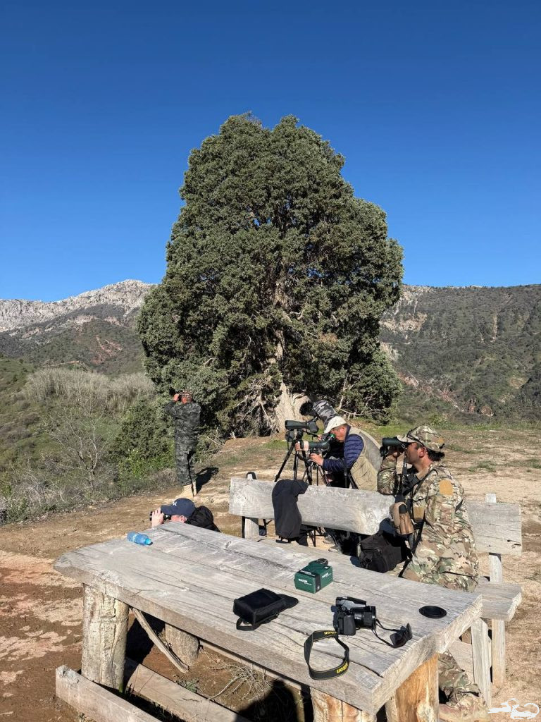 Strong Partnerships — Tangible Results