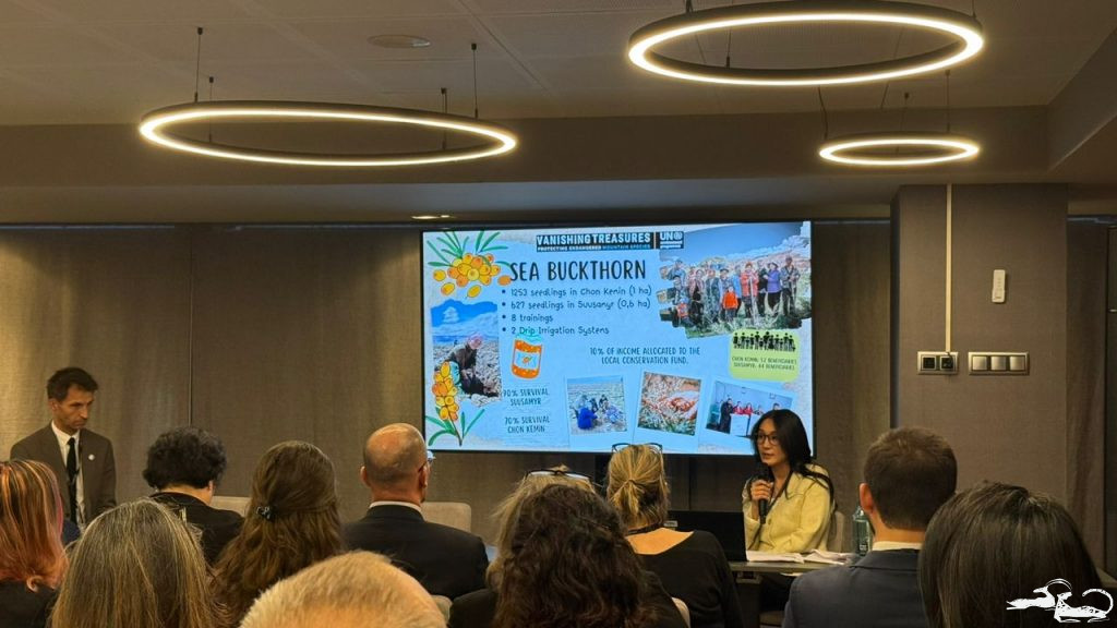 From 26 to 28 March 2026, the Ilbirs Foundation participated in the Seventh Global Meeting of the Mountain Partnership in Andorra 🌍🤝