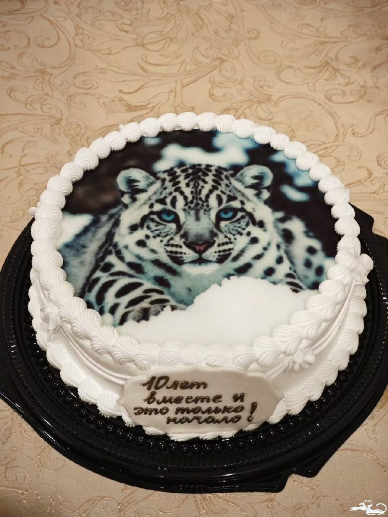 Happy 10th Anniversary of the Ilbirs Foundation! 🥳🎉🐾